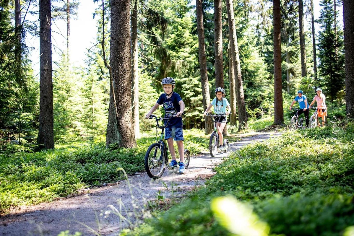 Апартаменты Korzo Lipno C Липно-над-Влтавой Экстерьер фото
